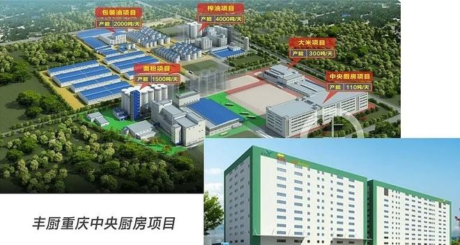 粮油撞天花板，调品味推不动，今年的金龙鱼靠什么？
