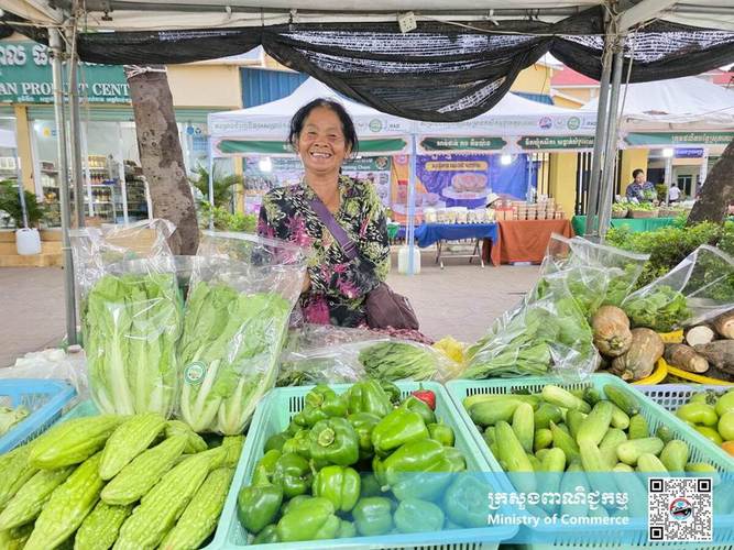 柬埔寨本地优质食品销售 安全蔬菜、水果、鸡肉与加工食品一站式供应